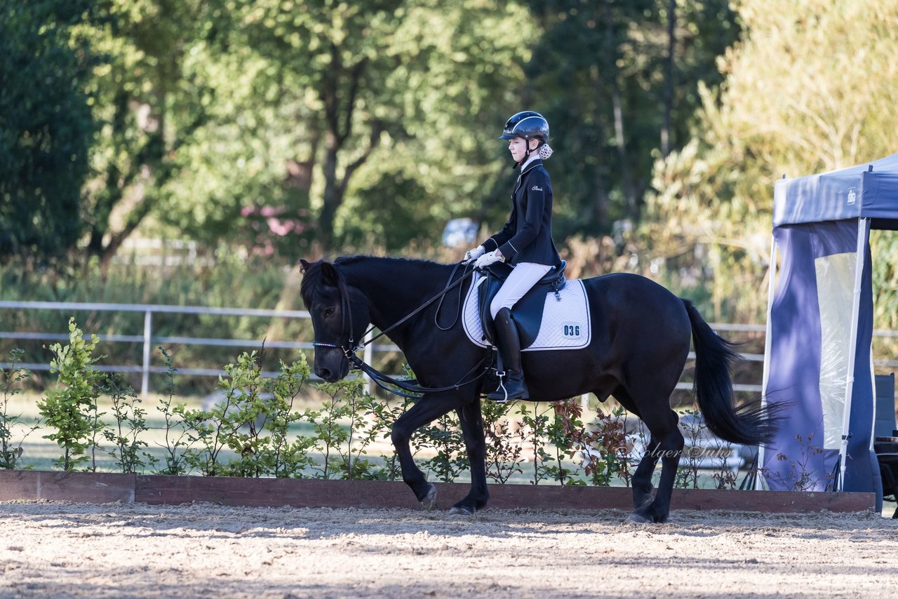 Bild 19 - Pony Akademie Turnier